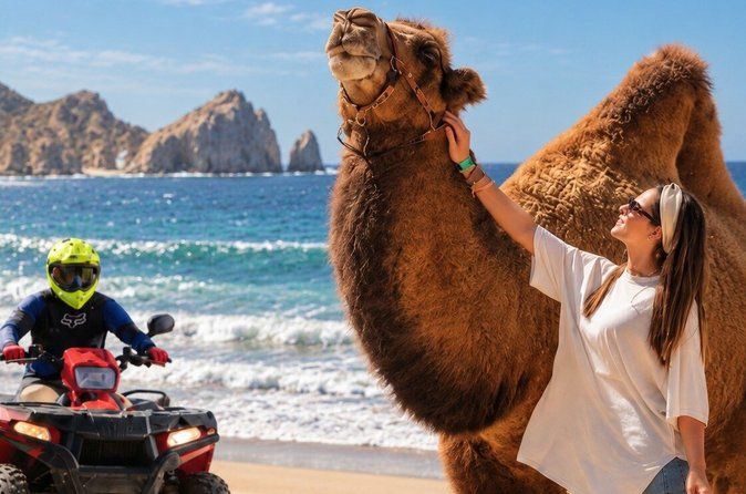 Cabo ATV & Camel: FREE Buffet, Tequila & Hotel/Cruise Pickup