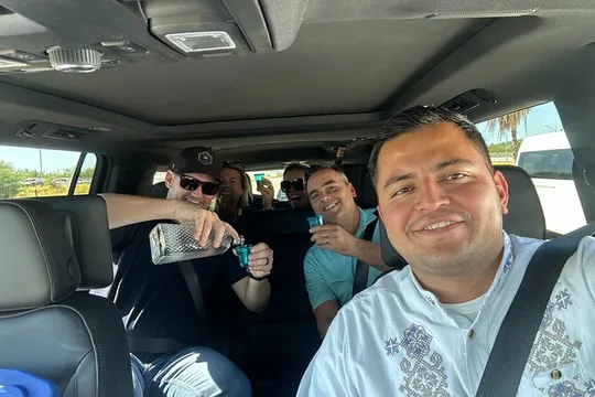 Los Cabos Private One-Way Airport Transfer: Zone 1