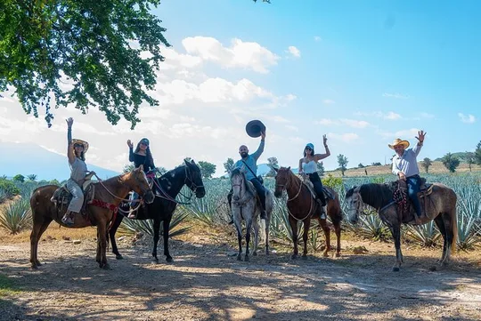 Agaves and Tequila Horseback Ride in El Arenal Jalisco