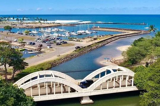 Island Tour - Waikiki to Oahu's North Shore