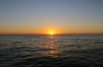 Gulfport Sunsets & Dolphins Tour Image 3