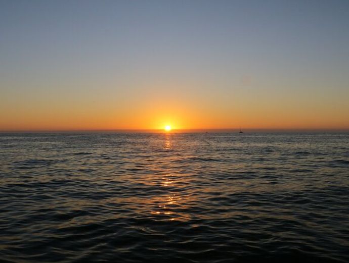 Gulfport Sunsets & Dolphins Tour Image 3