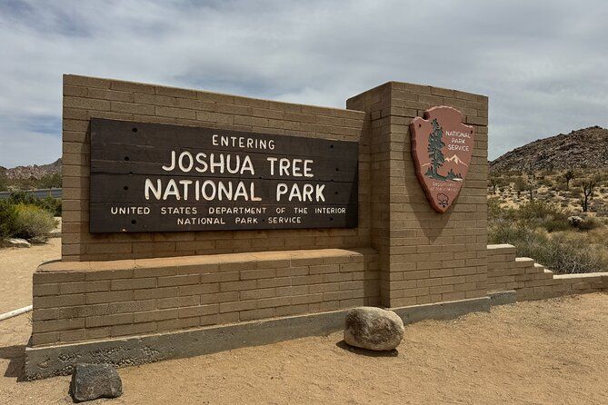 Private 1 Day Tour to Joshua Tree National Park