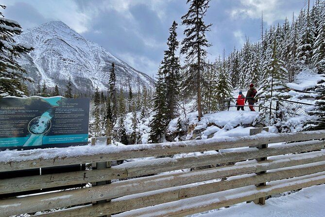 Banff, Lake Louise, Marble Canyon & Emerald Lake - Daytrip
