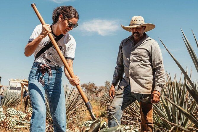 Private Tour to Distillery Tequila Ocho and Arandas