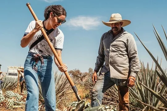 Private Tour to Distillery Tequila Ocho and Arandas