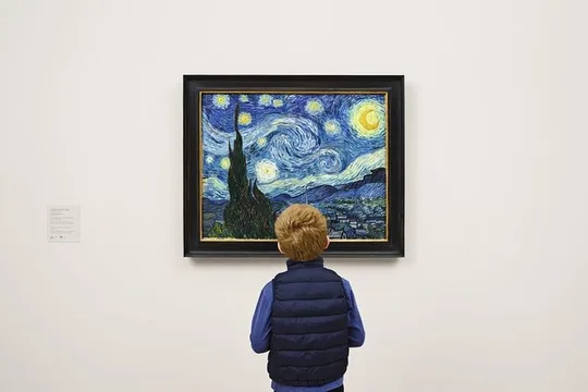 Visit the Museum of Modern Art and Manhattan Walking Tour