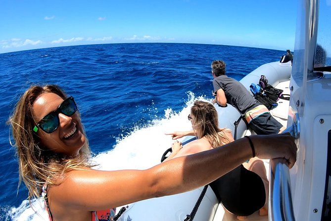 Private Whale Watching Adventure