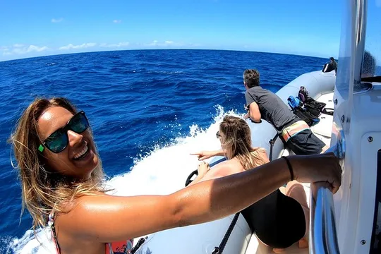 Private Whale Watching Adventure