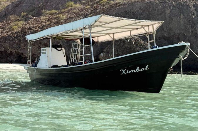 Holy Spirit Island Tour Snorkeling and Sea Lions and Food