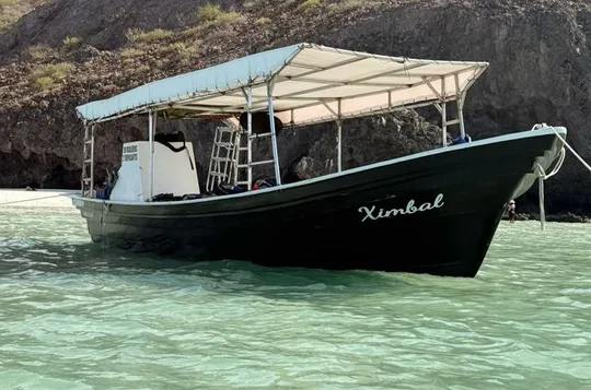 Holy Spirit Island Tour Snorkeling and Sea Lions and Food
