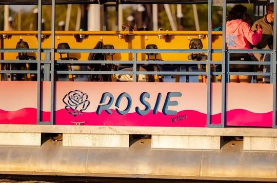 1 Hour Private Rosie Newport Pedal Party Boat Tour