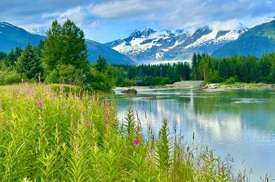 Sightseeing Tour of Juneau Alaska Explore History and Culture