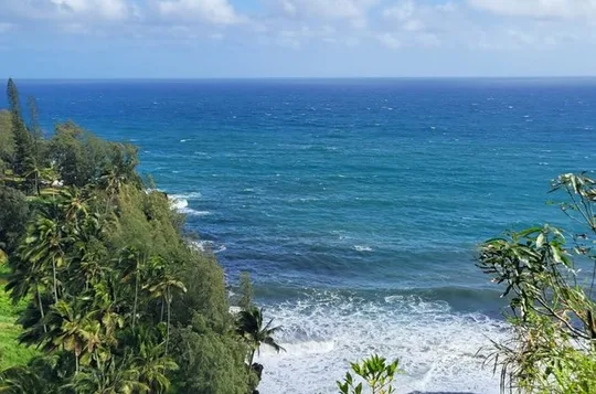Full Day Small Group Tour of Maui Waterfall, Beach and Hana