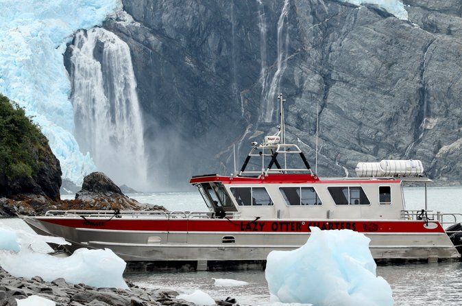 Whittier Glacier Wildlife Boat Tour
