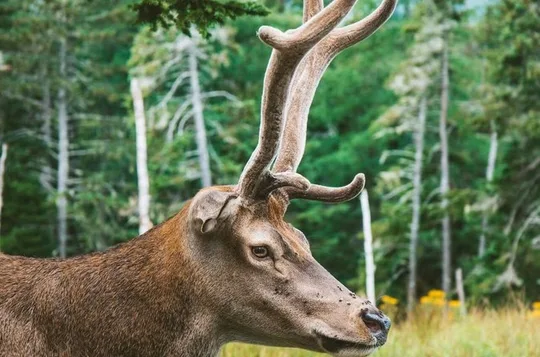 Two Rivers Wildlife Park Tour