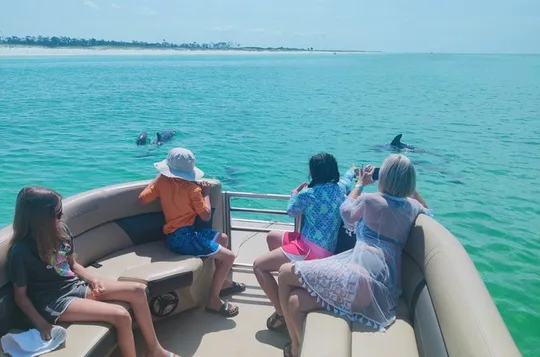 Private 3 Hours Dolphin Tour to Shell Island in Panama City Beach