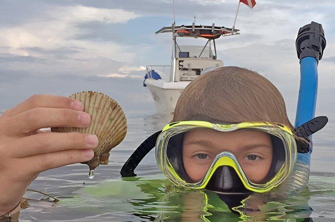 Scalloping Adventure Private Activity in Nature Coast Florida