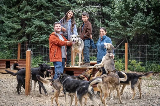 One and a Half Hour Private Summer Sled Dog Experience