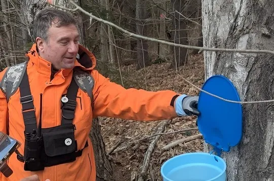 Tree to Table Maple Syrup Farm Tour