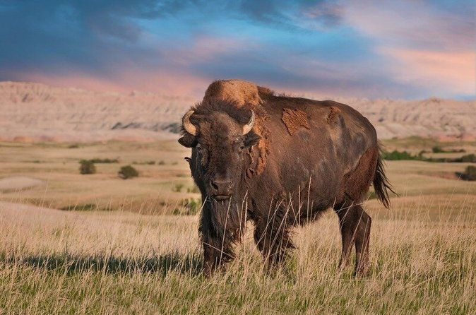 Self Guided Badlands National Park Loop Road Audio Driving Tour