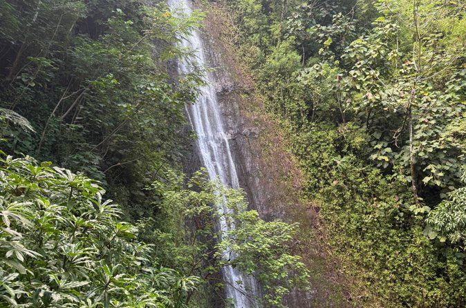 Hawaiian Waterfall Hike With Waikiki Pickup