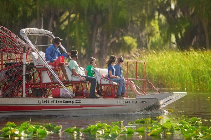 90-Minute Private Airboat Tour in Kissimmee