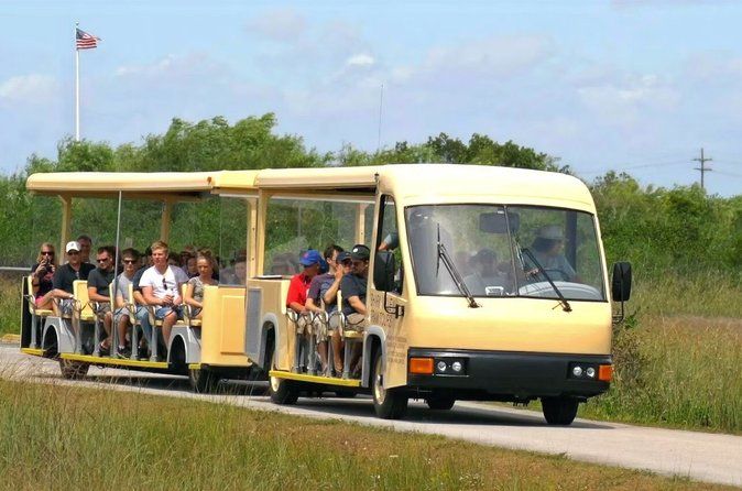 From Miami: Everglades Nature and Wildlife Tram Adventure