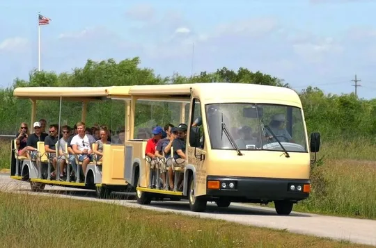 From Miami: Everglades Nature and Wildlife Tram Adventure