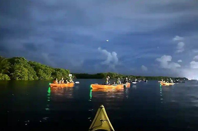 Dania Beach Full Moon Kayak Paddle Tour