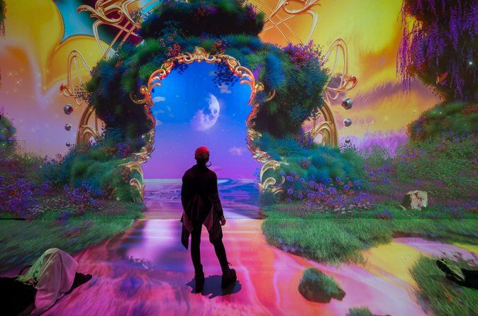 ARTECHOUSE DC Immersive Art Experience with Reserved Entry Time