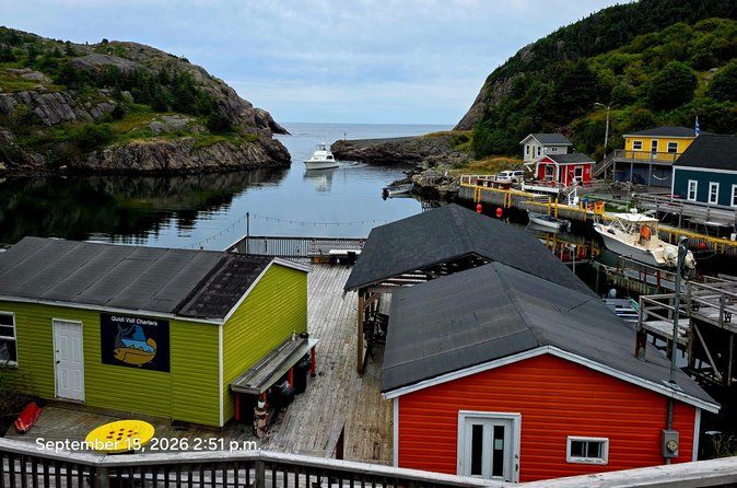 St. John's City and Coastal Journey Private SUV Tour 6 Hours
