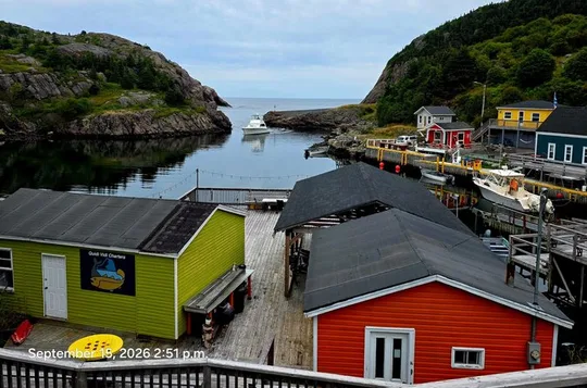 St. John's City and Coastal Journey Private SUV Tour 6 Hours