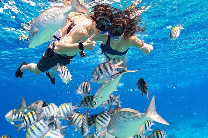 Cozumel Three Reefs Snorkel Tour +Beer, Drinks, Glass bottom boat