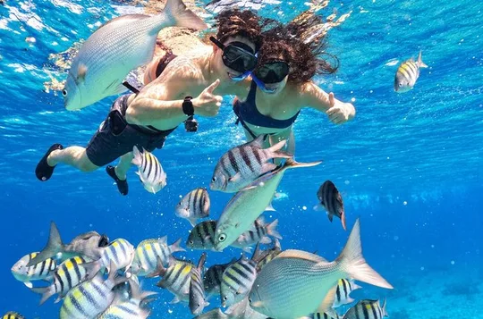 Cozumel Three Reefs Snorkel Tour +Beer, Drinks, Glass bottom boat