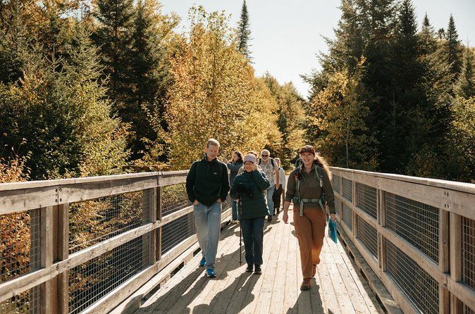 All Inclusive Guided Hike To Jacques Cartier National Park