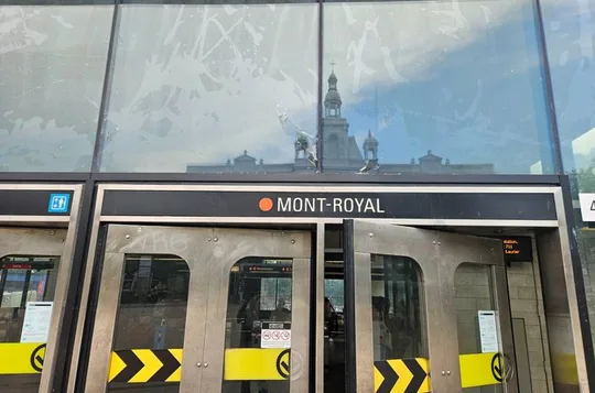 Montreal Walking and Metro Tour Culture History and Diversity