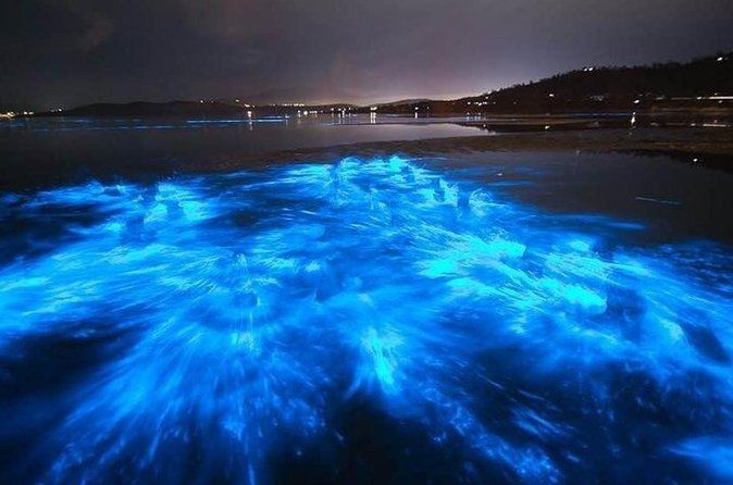 Bioluminescent Kayaking Tour Cocoa Beach