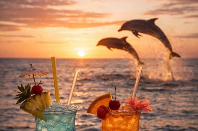 Gulfport Sunsets & Dolphins Tour