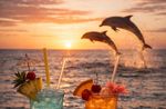 Gulfport Sunsets & Dolphins Tour Image 1