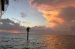 Gulfport Sunsets & Dolphins Tour Image 2