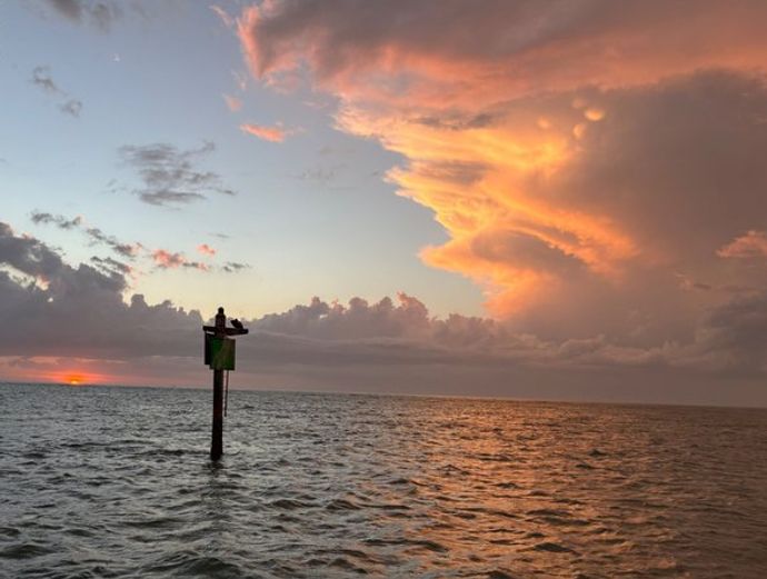 Gulfport Sunsets & Dolphins Tour Image 2