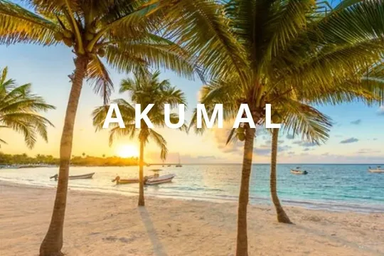 Round private transfer Airport- Akumal - Airport.