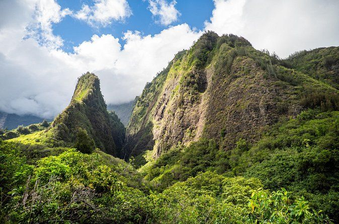Golden Pineapples & Hidden Gems: A Private Upcountry Tour