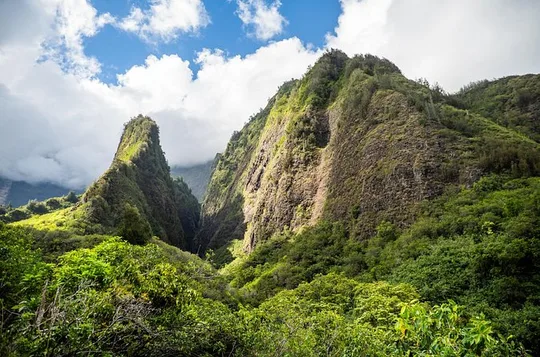 Golden Pineapples & Hidden Gems: A Private Upcountry Tour