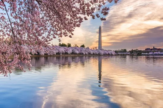 Washington DC Scavenger Hunt & Self-Guided Walking Tour