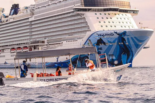 Cabo San Lucas Shared Glass Bottom Boat Experience