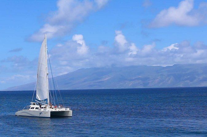 Whalewatch Sail from Lahaina