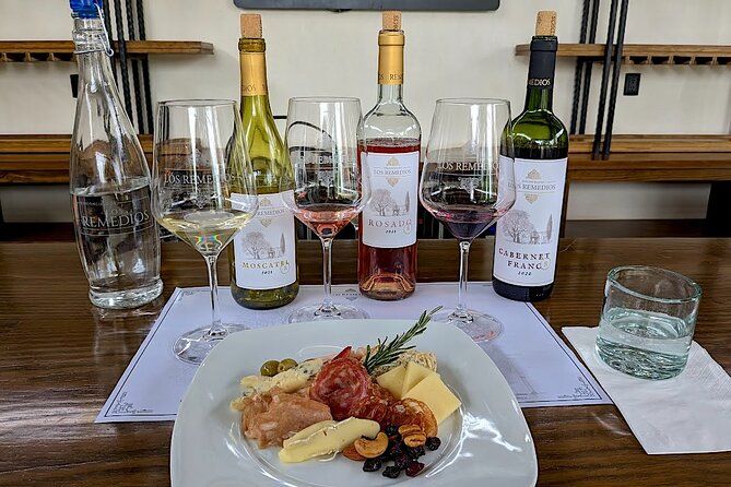 Tasting of 3 Wines with cheeses and cold meats at Viñedo Los Remedios
