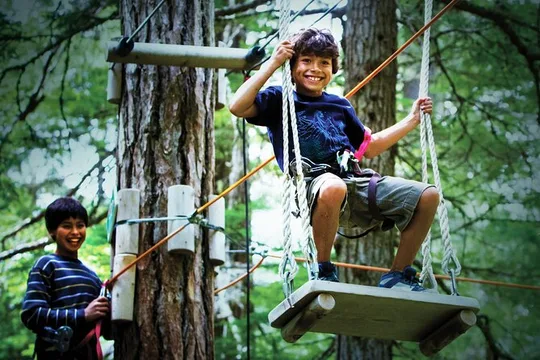 Aerial Obstacle Course - Kids Course